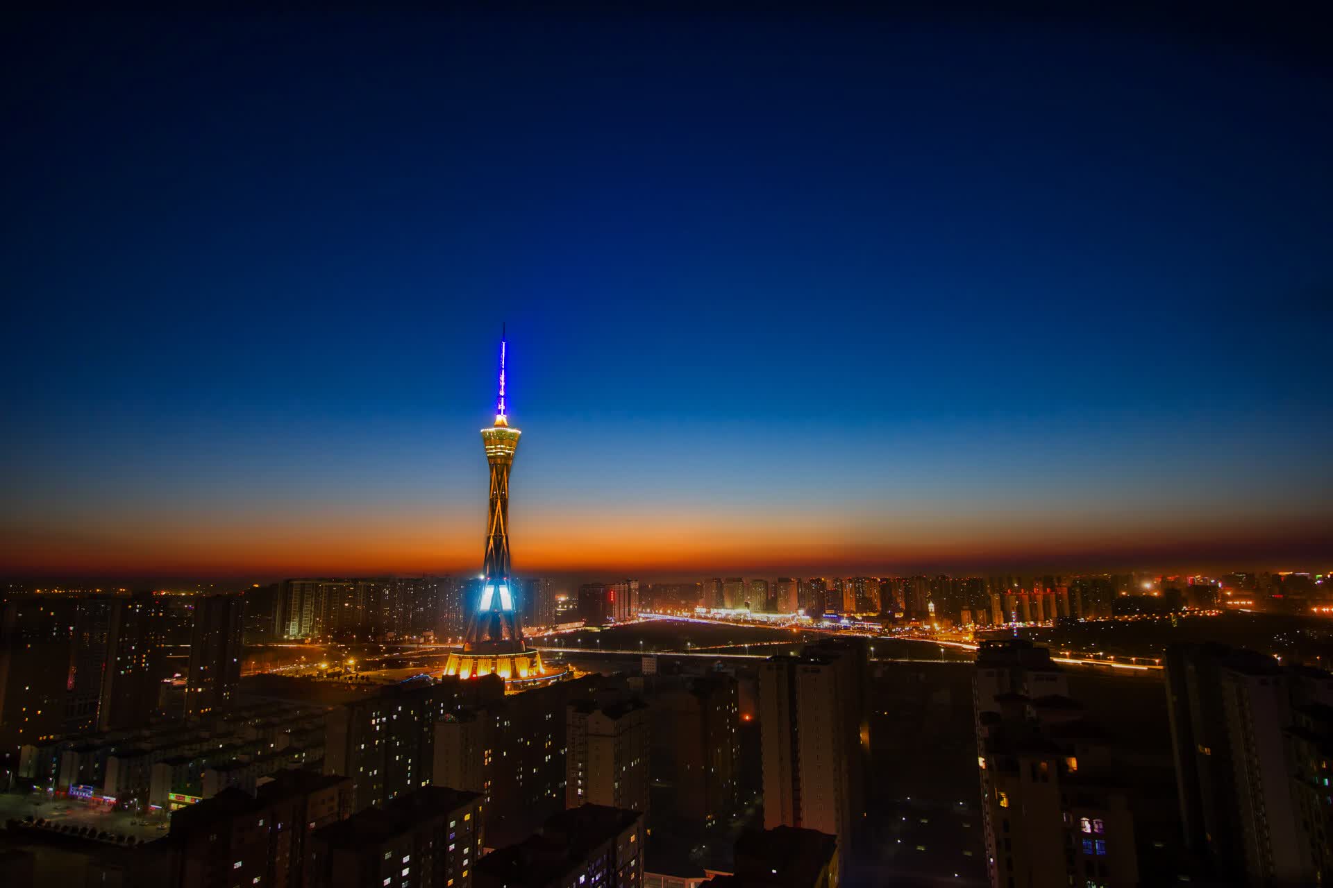 世界桥牌线上青少年赛:数字平台带来更多机会,世界桥牌选手排名